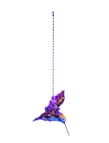 hummingbird