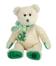 Pami bear - st Patrick's day