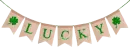 st Patrick's day