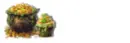St.Patrick Online
