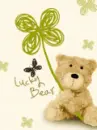 bear