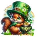 squirrel