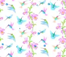 hummingbirds