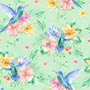 hummingbirds