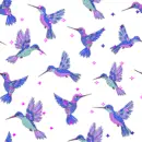 hummingbirds