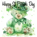 happy st Patrick's day bear