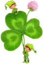 Leprechauns  