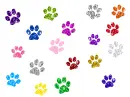 paw prints