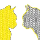 two cats