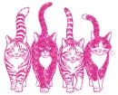 four cats