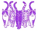 five cats