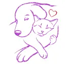 cat-dog