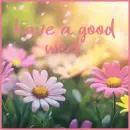 have a good week