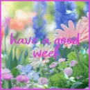 have a good week
