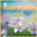 have a good week