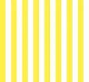 yellow stripes