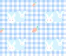 blue bunnies