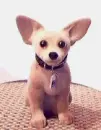 nodding dog