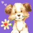 purple bg dog with a flower