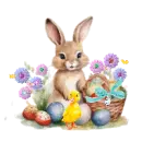 bunny