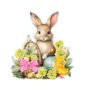 bunny