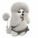 3d white poodle dog