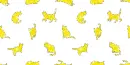 background of cats