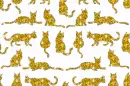 background of cats