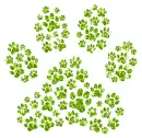 paw prints