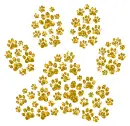 paw prints
