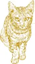 cat