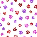 paw prints