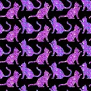 background of cats