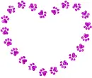 paw prints