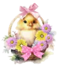 chick