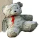 waving teddy bear