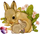 bunnies
