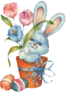 bunny