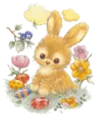 bunny
