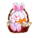 bunny