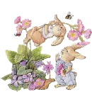bunnies