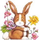 bunny