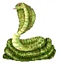 cobra