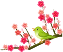 bird with flowers