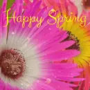 happy spring