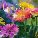 happy spring