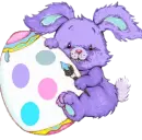 bunny
