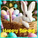 happy spring