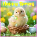 happy spring