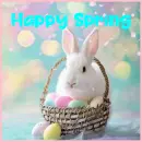 happy spring